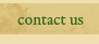 Contact Us Button